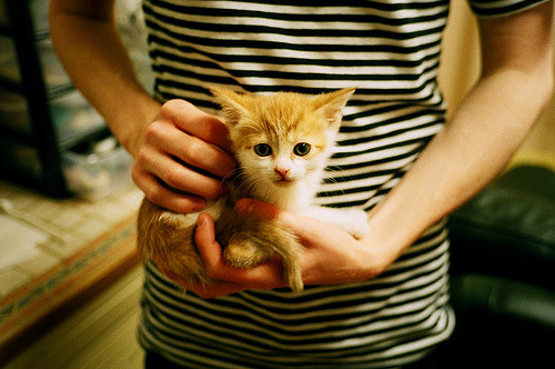 CBA联赛推动篮球运动普及，cba联赛推动篮球运动普及了吗